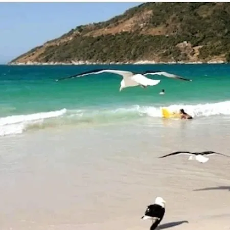 Lindo Apto 2 quartos com suíte na quadra da prainha!-2